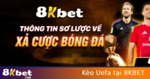 Kèo Uefa tại 8KBET - Phân Tích Kèo Giải Đấu Hàng Đầu Châu Âu 1 Kèo Uefa tại 8KBET