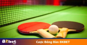 Cược Bóng Bàn 8KBET - Cách Đặt Cược Môn Thể Thao Tốc Độ 8 Các loại kèo cược bóng bàn phổ biến trên 8KBET
